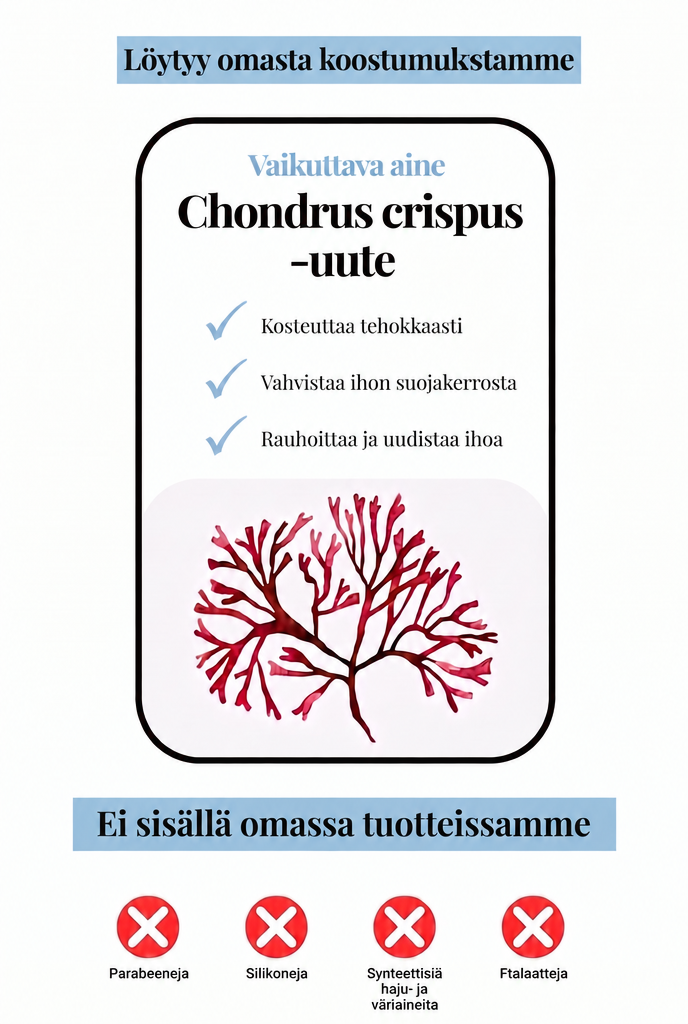 Chondrus crispus -uute